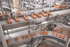 Bread production line